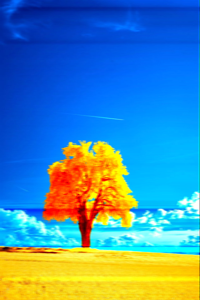 A distored version of the above, the colours are more saturated and the tree’s shadow is darker