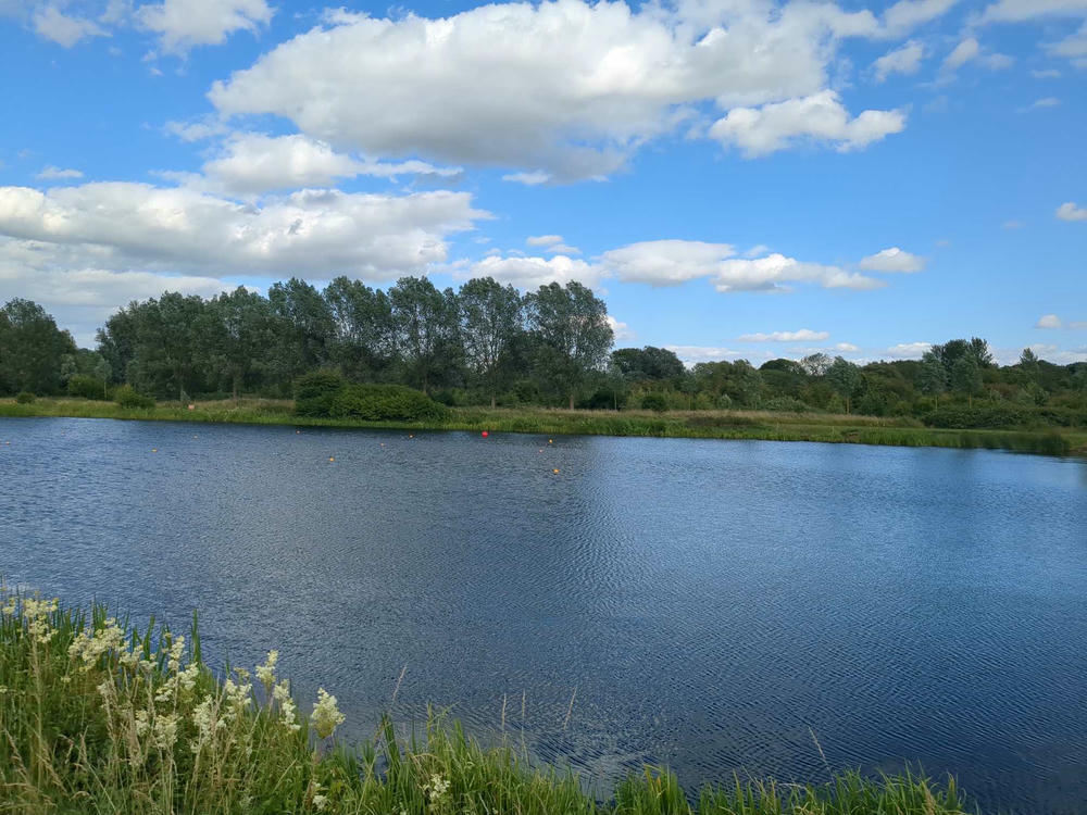 a somewhat cloudy blue sky and a body of water, with some trees behind it